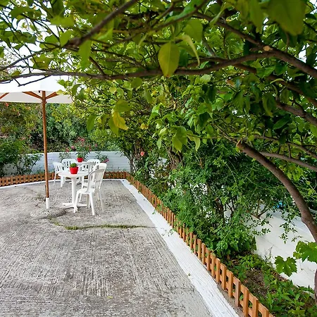 Orelia Guest house